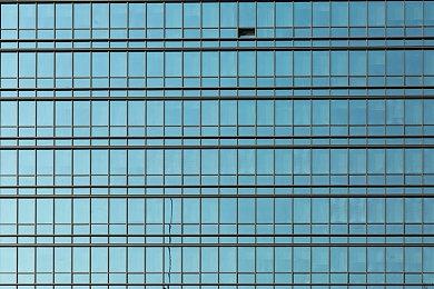 《动物园之星》湿地DLC公布 新增水豚和鸭嘴兽等